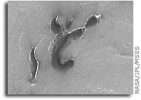 Mars Picture of the Day: Dark Polar Dunes