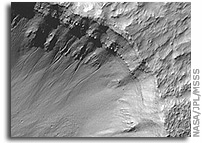 Mars Picture of the Day: Crater with Gullies