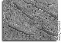 Mars Picture of the Day: Cracky Mars