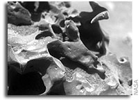 Image from Mars Exploration Rover Spirit Microscopic Imager 28 January 2006