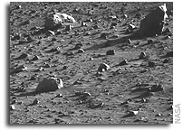NASA Mars Exploration Rover Status 5 January 2006