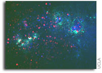 Astronomers Report Mysterious Giant Star Clusters