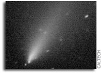 Palomar Observes Broken Comet