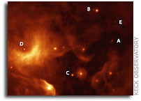 Grain Growth in Orion Nebula Protoplanetary Disks