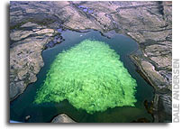 Green ice, Ravens, Ice Caves and the Movie 