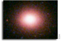 XMM-Newton reveals the origin of elements in galaxy clusters
