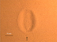 SMART-1 impact simulated in a laboratory sand-box