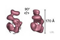 Molecular DNA Switch Found to be the Same for All Life