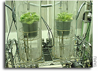 Galaxy Gardening More Than Hobby for Future Moon, Mars Residents