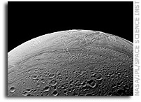 Enceladus' Folded Surface