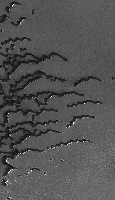 Dark, north polar dunes with small patches of bright frost.