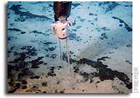 Methane Devourer Discovered in the Arctic