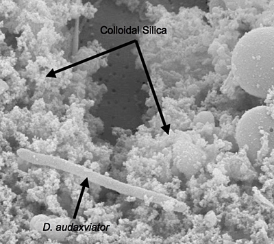 comes from the decomposition of water by radioactive decay of uranium, comes from the decomposition of water by radioactive decay of uranium,