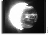 Peeking behind the veil of Venus