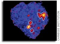 Meteorites discovered to carry interstellar carbon