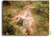 Cosmic Spider is Good Mother - VLT FORS Image of the Inner Parts of the Tarantula Nebula