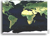 ESA donates mosaic of global images taken by Envisat to United Nations