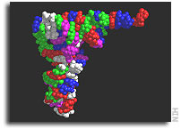 Atomic-resolution structure of a ribozyme yields insights into RNA catalysis and the origins of life