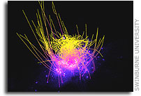 RAVE Collaboration: Clues to Evolution of Milky Way