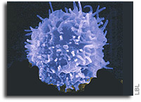 Scientist-astronaut sends T-cells into space