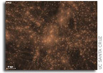 Supercomputer study shows Milky Way's halo of dark matter in unprecedented