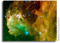 Baby Stars Hatching in Orion's Head