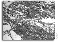 Opportunity Status 20 February 2007