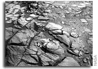 Opportunity: 'Shaking' Off the Dust and Getting Back to Work