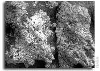 Spirit Tries to Coax Dust from Microscopic Imager