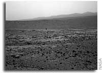 NASA Mars Rover Spirit Explores Top of 
