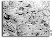 Hardy Spirit Rover Continues to Celebrate Milestones