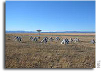 Prototype for long wavelength array sees first light