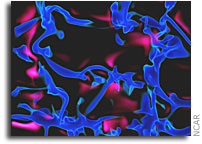 Sun's Deep Interior Revealed by New Computer Model; Research Provides Clues