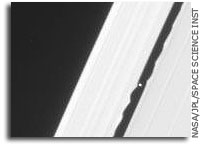 Daphnis Perturbs Nearby Rings