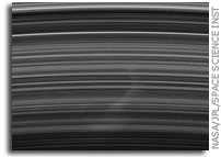 Bent Spoke