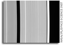 A Ring Waves