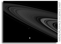 Saturnian Citizens