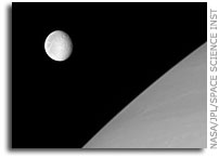 Rhea Detached