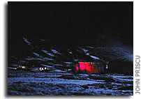 In the cold of the night