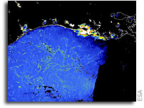 Envisat captures first image of Sargassum from space