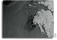 Envisat captures South Korea�s crude oil leak