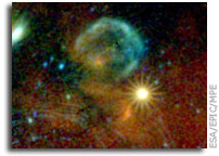 XMM-Newton's anniversary view of supernova SN 1987A