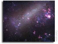 The Magellanic Clouds are First Time Visitors