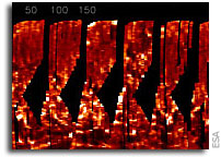 Mars Express: First Global Map of Martian Ionosphere