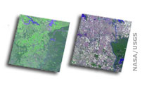 USGS and NASA Release TerraLook Data Product