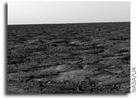 The NASA Phoenix Spacecraft Has Landed on Mars