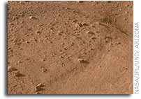 NASA Mars Phoenix Image: Surrounding Landscape