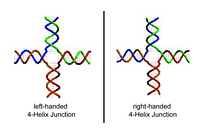 Scientists make chemical cousin of DNA for use as new nanotechnology building block