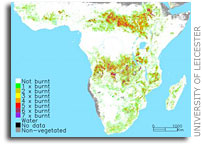 Scorched Earth millenium map shows 'fire scars' - New map shows burning hotspots on Earth