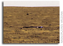 NASA Phoenix Mars Lander Photographs Its Crumpled Heat Shield